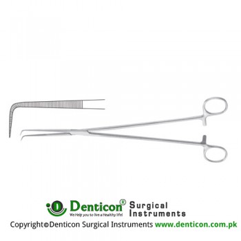 Barre Dissecting and Ligature Forcep Extra Delicate Stainless Steel, 28 cm - 11" 